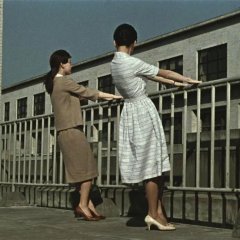 Late Autumn Japanese Movie(1960) photo