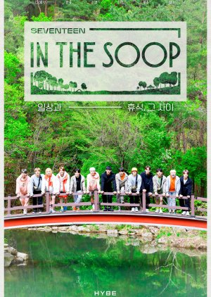 Seventeen in the Soop: Behind the Scenes (2021) poster