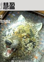 Ai Pin De Hui Ying Chinese Drama photo