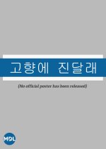 Azaleas of My Hometown Korean Movie photo