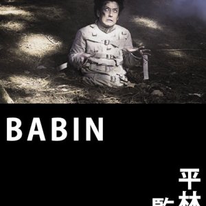 Babin (2008)
