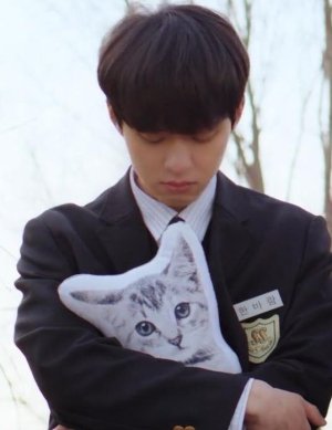 kittycat