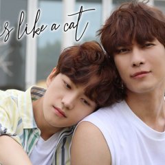 Love Is Like a Cat Korean Drama photo