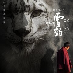 Snow Leopard Chinese Movie(2023) photo