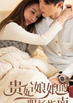 The Imperial Concubine's Career Guide Chinese Drama photo