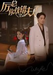 Li Zong, Ni Zhao Cuo Fu Ren Le chinese drama review