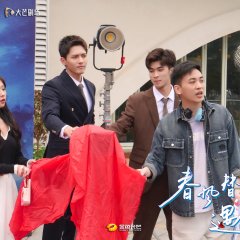 Spring Breeze Brings Me to You Chinese Drama photo