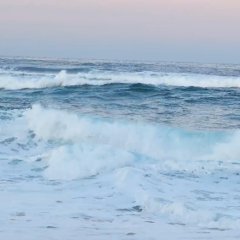 Ocean Likes Me Korean Drama photo