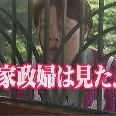 Kaseifu wa Mita! 21 (2003)