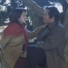 Translucent Tree Japanese Movie photo