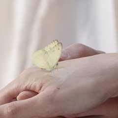 The Recipe Korean Movie photo