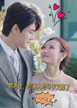 Ou Xian Sheng, Nin Fu Ren De Ma Jia You Diao Le