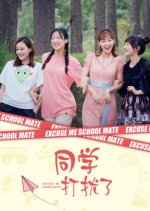 Excuse Me Schoolmate Chinese Drama photo
