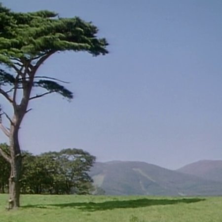 Kamisama no Boto  (2013)