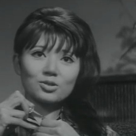 Yoru no Mesuinu (1966)