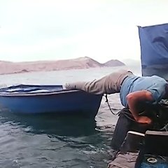 The Fruit Is Ripe 3 Hong Kong Movie photo