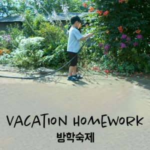 Vacation Homework (2019)