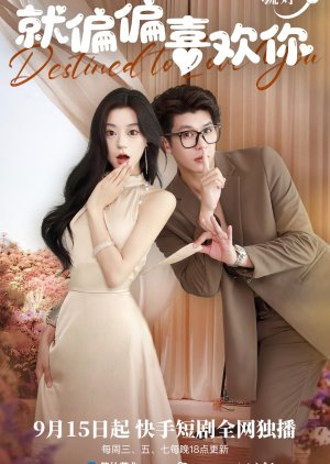 Destined to Love You (2024) poster