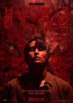 Red Face Korean Movie photo