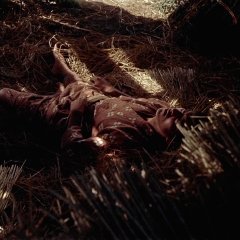 Samurai I: Musashi Miyamoto Japanese Movie photo