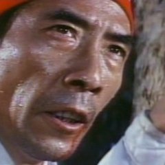 The Valiant Ones Hong Kong Movie photo