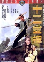 The Twelve Gold Medallions Hong Kong Movie photo