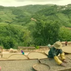 Coffee or Tea? Chinese Movie photo