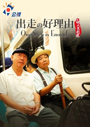 Life Story: One Step Is Enough (2011) poster