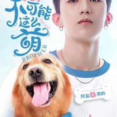 Lovely Brother Chinese Drama photo