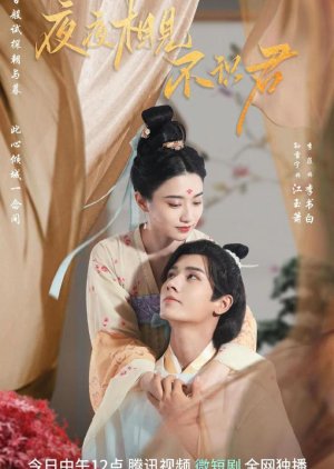 Ye Ye Xiang Jian Bu Shi Jun (2023) poster