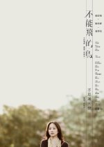 The Wingless Swallow Taiwanese Movie photo