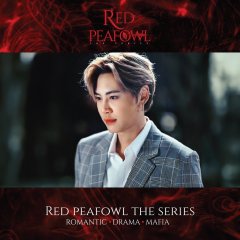 Red Peafowl () photo