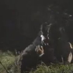 Jazz Korean Drama photo