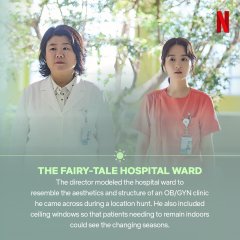 Daily Dose of Sunshine Korean Drama photo