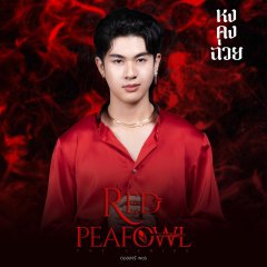 Red Peafowl () photo