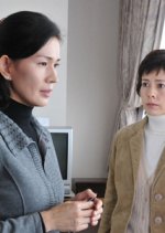 Kasouken no Onna SP Japanese Drama(2010) photo