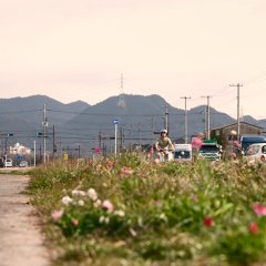 The 8-Year Engagement Japanese Movie photo