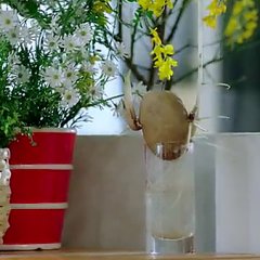 Crazy Love Korean Drama photo