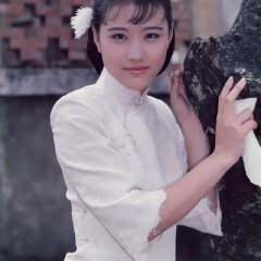 The Imperial Wanderer Taiwanese Drama photo