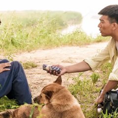 Song of the Phoenix Chinese Movie photo