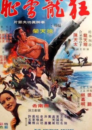 The Revenge Dragon (1973) poster