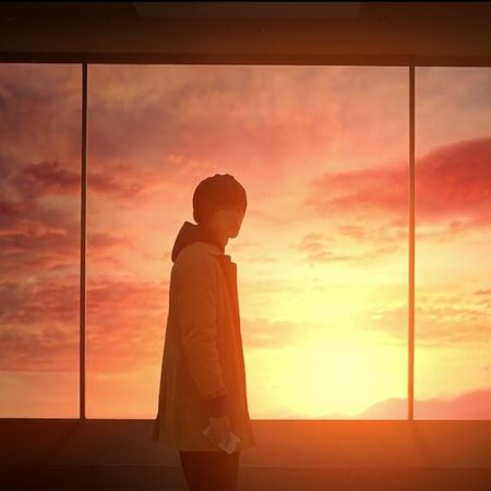 Kamisama no Boto  (2013)