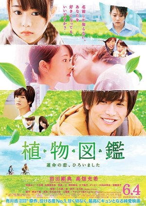 Evergreen Love (2016) poster