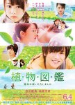 Evergreen Love japanese movie review