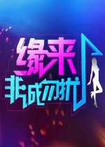 If You Are the One Chinese TV Program(2010) photo