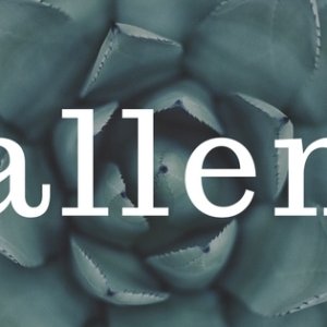 Kamisama no Boto  (2013)