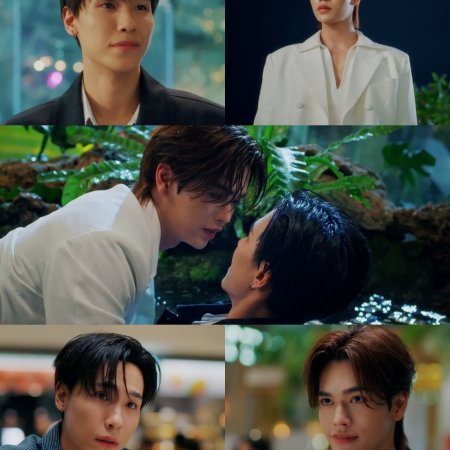 My Romance Scammer (2026)