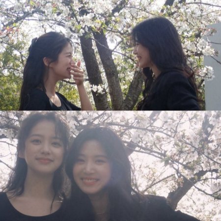 Love between Lines (2026)