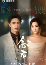The Way I Miss You Chinese Drama(2025) photo