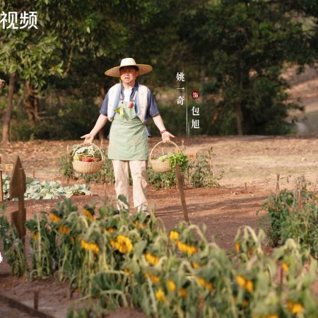 No Pain No Gain (2026)